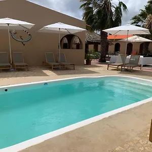The Lizard Boutique Playa